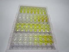 ELISA Kit for Xanthine Dehydrogenase (XDH)