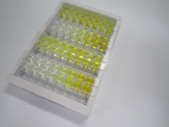 ELISA Kit for Xanthine Dehydrogenase (XDH)