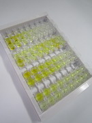 ELISA Kit for Mitofusin 1 (MFN1)