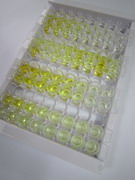 ELISA Kit for 3-Mercaptopyruvate Sulfurtransferase (MST)