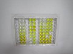 ELISA Kit for 3-Mercaptopyruvate Sulfurtransferase (MST)