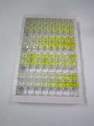 ELISA Kit for Microsomal Triglyceride Transfer Protein (MTTP)