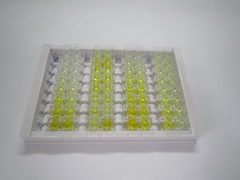 ELISA Kit for Monoamine Oxidase B (MAOB)