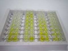 ELISA Kit for Napsin A Aspartic Peptidase (NAPSA)