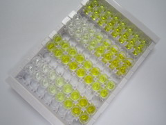 ELISA Kit for Osteoglycin (OGN)