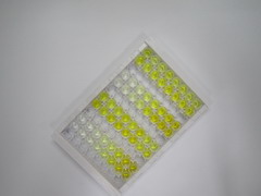 ELISA Kit for Opticin (OPTC)