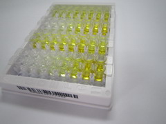 ELISA Kit for Osteoclast Associated Receptor (OSCAR)