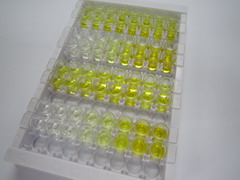 ELISA Kit for Optineurin (OPTN)