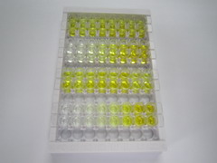 ELISA Kit for Oxytocin Receptor (OXTR)