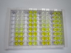 ELISA Kit for Paralemmin (PALM)