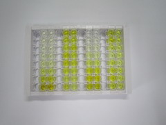 ELISA Kit for Podoplanin (PDPN)