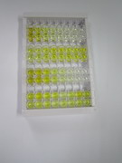 ELISA Kit for Phospholipid Transfer Protein (PLTP)