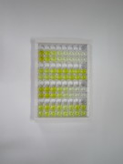 ELISA Kit for Prostate Stem Cell Antigen (PSCA)