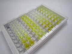 ELISA Kit for Heparan Sulfate Proteoglycan 2 (HSPG2)