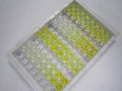 ELISA Kit for Peroxiredoxin 1 (PRDX1)