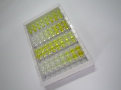 ELISA Kit for Phenylalanine Hydroxylase (PAH)