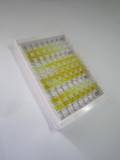 ELISA Kit for Reelin (RELN)