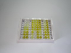 ELISA Kit for Twist Transcription Factor (TWIST)