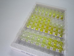 ELISA Kit for Sestrin 2 (SESN2)