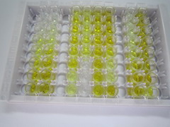 ELISA Kit for Sideroflexin 1 (SFXN1)