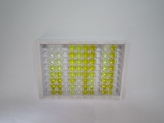 ELISA Kit for Stathmin 1 (STMN1)