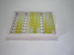 ELISA Kit for Dermcidin (DCD)