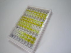 ELISA Kit for Growth Hormone 2 (GH2)