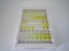 ELISA Kit for Protease Activated Receptor 1 (PAR1)