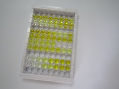 ELISA Kit for Protease Activated Receptor 1 (PAR1)