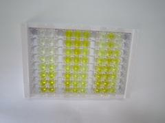 ELISA Kit for Formyl Peptide Receptor 1 (FPR1)