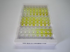 ELISA Kit for Cathepsin B (CTSB)