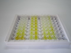 ELISA Kit for Transforming Growth Factor Beta Receptor II (TGFbR2)