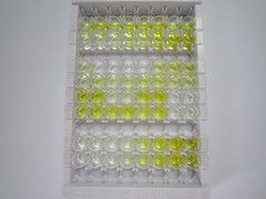 ELISA Kit for Glutathione Peroxidase 3, Plasma (GPX3)