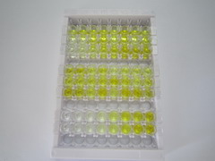 ELISA Kit for Glutathione Peroxidase 3, Plasma (GPX3)