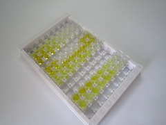 ELISA Kit for Threonyl tRNA Synthetase (TARS)