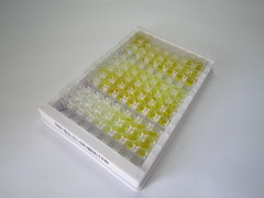 ELISA Kit for Ferritin, Light Polypeptide (FTL)