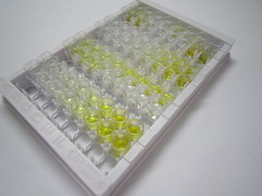 ELISA Kit for Immunoglobulin Kappa (Igk)