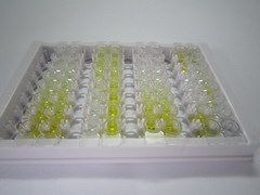 ELISA Kit for Neuropilin 2 (NRP2)