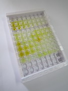 ELISA Kit for Procollagen III (PCIII)