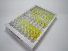 ELISA Kit for Low Density Lipoprotein Receptor Adaptor Protein 1 (LDLRAP1)