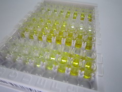 ELISA Kit for Collagen Type XIV (COL14)