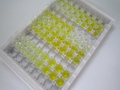 ELISA Kit for Fibulin 2 (FBLN2)