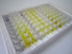 ELISA Kit for Ribonuclease A2 (RNASE2)