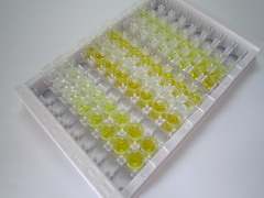 ELISA Kit for Epstein Barr Virus Induced Protein 3 (EBI3)