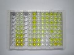 ELISA Kit for Complement Component 1, Q Subcomponent A (C1qA)