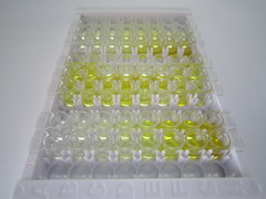 ELISA Kit for Chorionic Gonadotropin (CG)