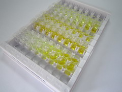 ELISA Kit for Lipase A, Lysosomal Acid (LIPA)