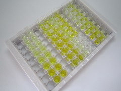 ELISA Kit for Troponin T Type 2, Cardiac (TNNT2)