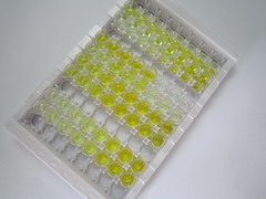 ELISA Kit for Troponin T Type 3, Fast Skeletal (TNNT3)