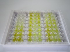 ELISA Kit for Ataxin 10 (ATXN10)